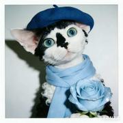 梁工的码间笔记的个人资料头像