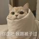 小椰子糖123头像