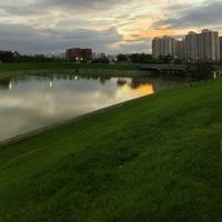 快乐小脚脚头像