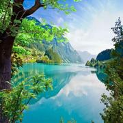 曙光之翼的个人资料头像