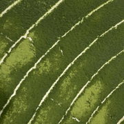 轩辕剑的个人资料头像