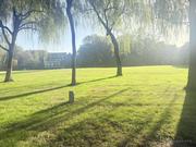 stevendoun的个人资料头像