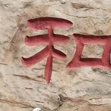 可靠扑克a9P头像