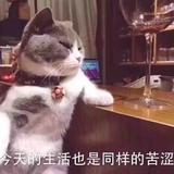 新手马路小杀手头像