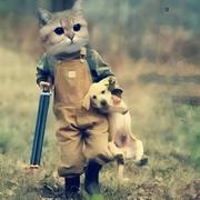 Dreamboat258的个人资料头像