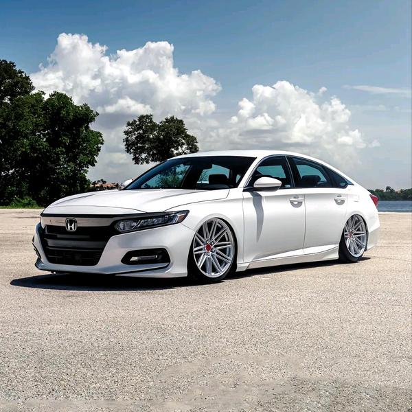 坦坦荡荡的xiao肖头像