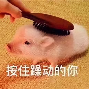 懒主小屋头像