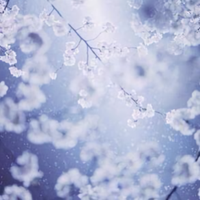 逆水寒月535头像