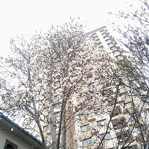 长治小魏头像