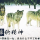 waals765头像