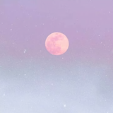 星星之橙头像