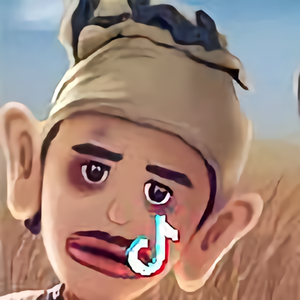 Копия