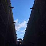 老家60390830头像