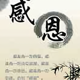 羽毛9151头像