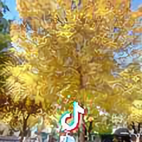 锐步包装（纸箱定制）头像