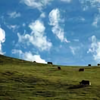 气宇轩昂213头像