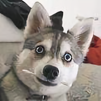 岛田祝大侠头像