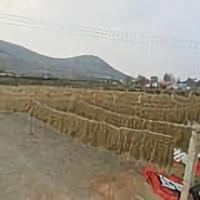 纯红薯粉条头像