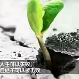 岁月静好97769头像