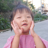苍狼头像