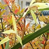 手机用户6339594746头像