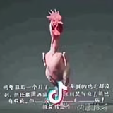 老翁头像