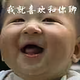 瞅你咋滴481头像