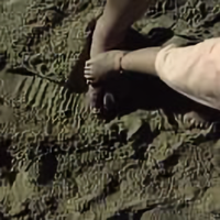 用户3548047923743头像