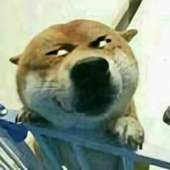 北笙小二友头像