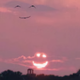 半夏JS头像
