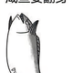 zlpzbay头像