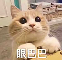 丶三文鱼不吃鱼头像