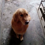 热闹阳光u2头像