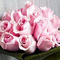 幽狼29153467头像