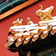 williamliu1123头像
