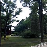若风82170082头像