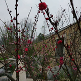 月父821头像