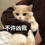 有趣的人丫头像
