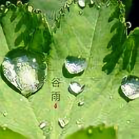 @头像