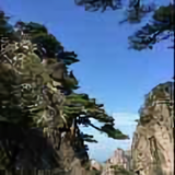 邵勇976头像