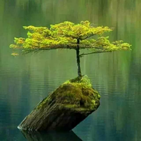 雨后阳光37380头像