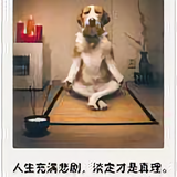 仰望🌟守护👄永恒头像