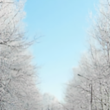 诗久年华zss头像