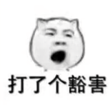曽懂车头像