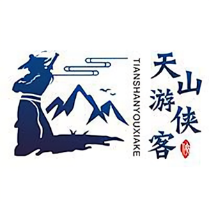 天山游侠客头像