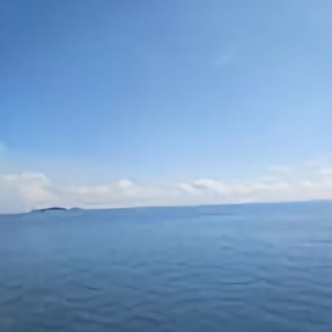 时光倒流208013497头像