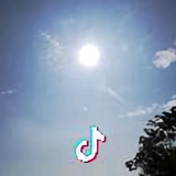 sj头像