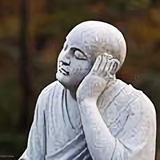 智庵头像