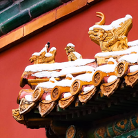 用户7049791797747头像