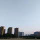 简单就好77403头像